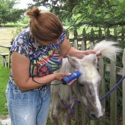 pony2